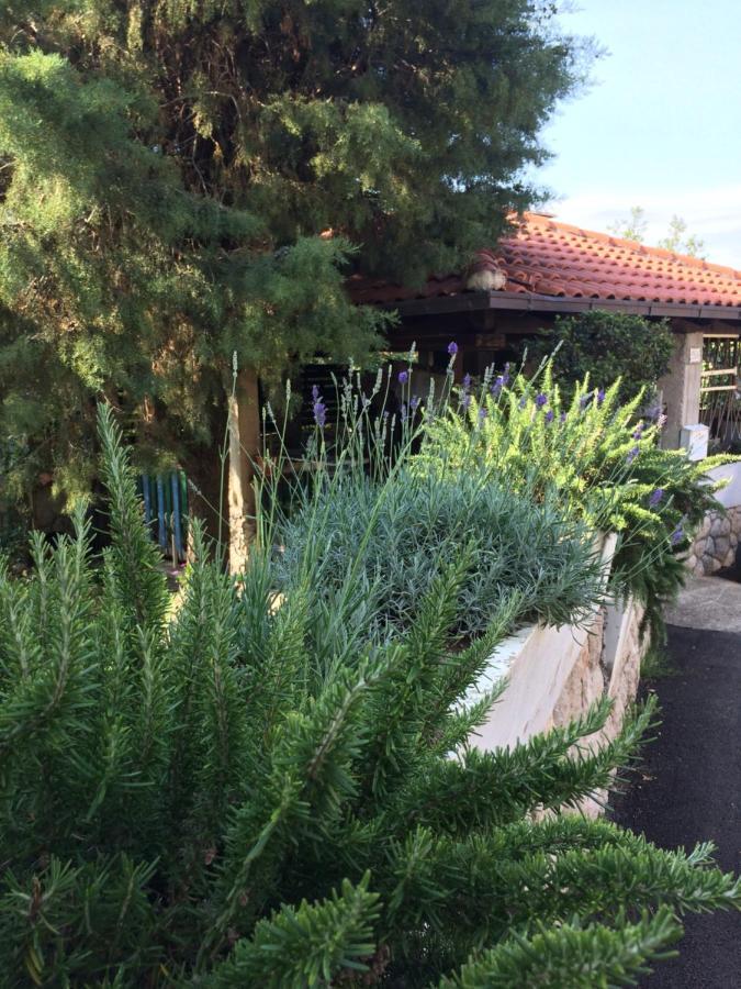 SanMari Hotel Novi Vinodolski Eksteriør billede